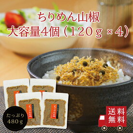 【送料無料】ちりめん山椒 120g 4個セット【 R-4 】　まとめ買い ちりめん ちりめん山椒 山椒ちりめん 佃煮 惣菜 おにぎり 御飯のお供 ふりかけ お弁当 お試し おうちごはん おうち時間 家飲み おつまみ 朝ごはん 米 お米 メール便 めーる便 送料無料