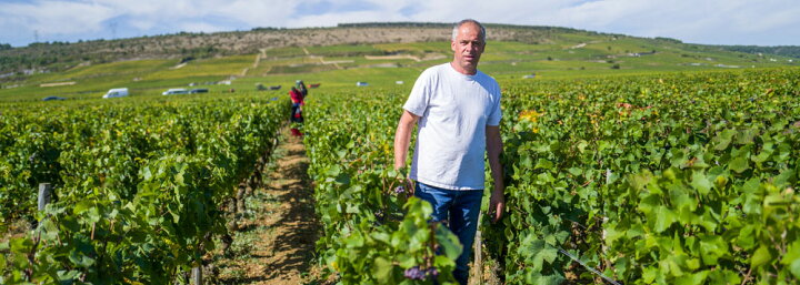 楽天市場】ドメーヌ ロベール シュヴィヨン ニュイ・サン・ジョルジュ ルージュ ヴィエイユ・ヴィーニュ 2021Robert Chevillon Nuits St Georges Rouge V.VNo.115214 : 古武士屋