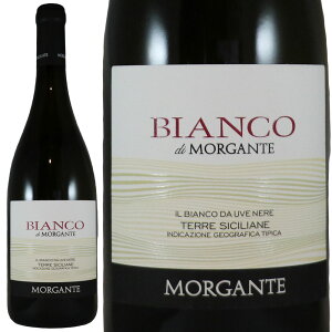 Ke rAR fB Ke 2023Morgante Bianco di MorganteNo.116279