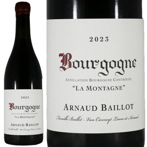 �A���m�[ �o�C�� �u���S�[�j�� �s�m �m���[�� �����^�[�j�� 2023Arnaud Baillot Bourgogne Pinot Noir Montagne�y���K�i�zNo.118180
