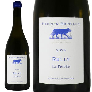 �A�h���A�� �u���\�[ �������[ �� �y���V�� 2024Hadrien Brissaud Rully La PercheNo.118433