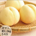 桃 白桃 お中元 ギフト 清水白桃 3玉入り 約5-6玉 約8-18玉 約1.5kg 約3.5kg 大玉 希少 名産品 送料無料 岡山県富吉産 販売中 7月下旬ごろから発送予定