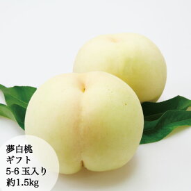 【送料無料】 予約販売 早割 桃 夢白桃 約5-6玉 約1.5kg ギフト 大玉 農家直送 もぎたて発送 岡山 白桃 PEACH 取り寄せ 7月下旬頃から順次発送予定 岡山