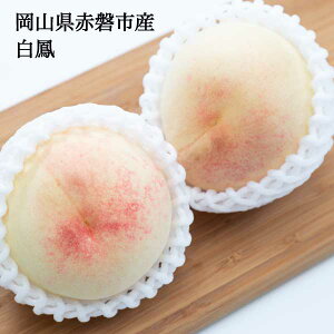 �\���t�� �� ���� ���P �M�t�g ������ �ƒ�p �󂠂� ��800g 3�ʓ��� ��1.5kg 5-6�ʓ��� 1�� ��200g-300g �_�ƒ��� �������Ĕ��� ���� ���R���Ԕ֎s���Y �������� 7�����{�����甭���\��