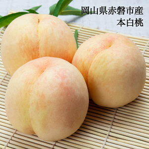   { Mtg  ƒp 󂠂 3ʓ 800g 5-6ʓ 1.5kg 1 300-350g  RY  n㔭 8{납甭\