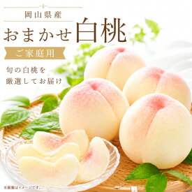 販売中 岡山県赤磐市産 おまかせ白桃 糖度12度以上 3玉入り 5-6玉入り 通常約1.5kg（白皇のみ約1.2kg） 9-15玉入り 約3.5kg 家庭用 訳あり 白皇桃 加納岩白桃 白鳳 千種白鳳 本白桃 川中島白桃 白麗 あきぞら ※品種指定不可