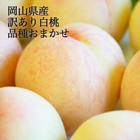 【送料無料】 岡山 白桃 5-6玉 約1.5kg 9-15玉 約3.5kg 家庭用 訳あり 岡山県産 加納岩白桃 白鳳 千種白鳳 本白桃 川中島白桃 白麗 あきぞらのいずれかの品種になります ※品種は選べません。6月下旬頃から8月中旬頃間での発送予定