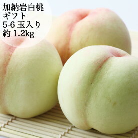 予約販売 【送料無料】 桃 加納岩白桃 ギフト お中元 約1.2kg 5-6玉入り 1玉 約200-250g 農家直送 もぎたて発送 取り寄せ 岡山県産 早生 予約 7月上旬頃から順次発送予定