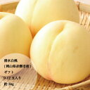 桃 清水白桃 しみずはくとう ギフト お中元 家庭用 訳あり 約800g 3玉入り 約1.5kg 5-6玉入り 約3kg 約9-15玉入り 1玉 約300g 予約 岡山県赤磐市産 白桃 PEACH 取り寄せ 【送料無料】 予約販売 7月下旬ごろから発送予定