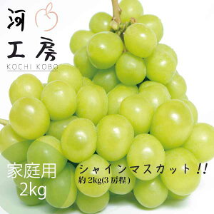 VC}XJbg ƒp 2kg 2-4[ R p 햳 炲ƐHׂ lC }XJbg Â _ƒ Ĕ ܂ŎԂꍇ܂B