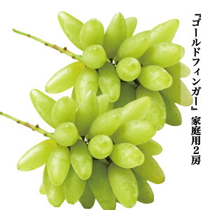 S[htBK[ Zbg 800g 2[ ƒp 󂠂   RԔ֎sY Ȃ Ԃǂ  ʕ  t[c Hה hV̓ ފ  8{\