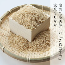 楽天市場】30kg（品種（米）きぬむすめ）（食品）の通販