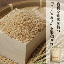 楽天市場】岡山 米 30kgの通販