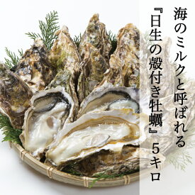 牡蠣 殻付き 約5kg 約60-75個前後 日生 ひなせ カキ 日生の牡蠣 Oyster 加熱用 殻付き牡蠣 取り寄せ 産地直送 収穫後即日発送 送料無料 北海道,沖縄県はチルド代+675円掛かります 今年はオススメです(水曜日は発送が休みになります)