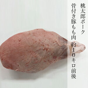 ؓ t 10kgO Y  RY Y|[N O |[N PORK Ruh 炩ؓ Ⓚ