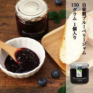 u[x[ Hi u[x[W nu[x[gp@ʓՂ Ɛ BLUEBERRY JAM 1@160g