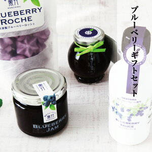 u[x[ Hi MtgZbg u[x[W nCubVu[x[W u[x[\[X Ɛu[x[bVF