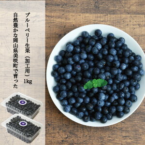 ブルーベリー 1kgの人気商品 通販 価格比較 価格 Com ブルーベリー 1kgの人気商品 通販 価格比較 価格 Com