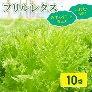 t ^X 3 / 6 / 10 Zbgy111`z VN T_ ΉF  ₳  Yn y ͔| VN ̂ꂽ ① J[ wV[ ^X{E   