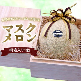 桐箱 入り マスクメロン 1個 2個 セットメロン 秋メロン メロンケーキ まるごと ギフト 高知 果物 お歳暮 秋の果物 食べ物 プレゼント スーツ 期間限定 お取り寄せ 南国 送料無料 旬 フルーツ 高級 1.5kg 1.6kg 贈答 家庭用 誕生日 内祝い お見舞い お礼 甘い 大玉