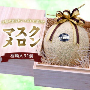 ˔  }XN 1 2 Zbg H P[L ܂邲 Mtg m ʕ Ε H̉ʕ Hו v[g X[c Ԍ  썑  { t[c 