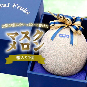  }XN 1 2 Zbg H P[L ܂邲 Mtg m ʕ Ε H̉ʕ Hו v[g X[c Ԍ  썑  { t[c 1.5kg 1