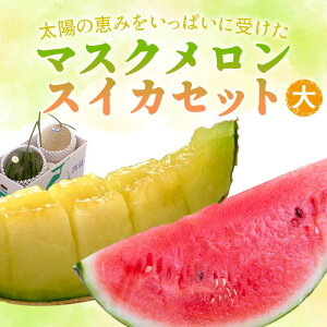 }XN E XCJZbg ij XCJ Zbg H P[L ܂邲 Mtg m ʕ Ε H̉ʕ Hו v[g X[c Ԍ  썑 