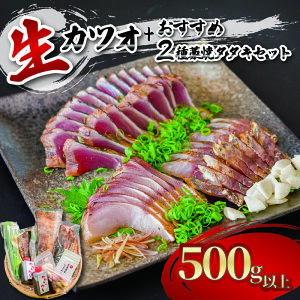 yVNI①ł͂zJcIƂ̓̃IXX̘̋mĂ ^^L ZbgJcI   N Hו ① 500g ȏ AW O ^C IXX  Mtg v[g 蕨 