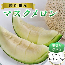 マスクメロン （中 大）各 1個 2個 セットメロン 秋メロン メロンケーキ まるごと ギフト 高知 果物 お歳暮 秋の果物 食べ物 プレゼント スーツ 期間限定 お取り寄せ 南国 送料無料 旬 フルーツ 高級 1.5kg 贈答 家庭用 誕生日 内祝い お見舞い お礼 甘い