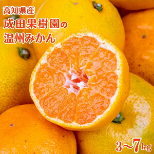 mY cʎ̉B݂ Iׂ e 3kg 5kg 7kgB݂ ݂ ʕ  Yn  k 񂫂 m Hו t[c ʎ Y ƒp p n  