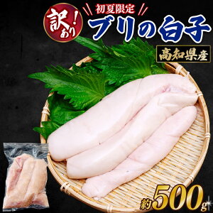 yČzmY u̔q 500g u  q 炱 Ⓚ ăMtg  䒆  {  Ăq ̓Mtg Mtg ܂Ԃɍ 󂠂 