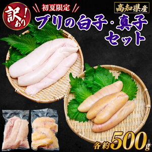 yČzmY u̔qE^qZbg e500g u  q 炱 ^q ܂ Ⓚ   {  Ăq Ă^q ϕ ϕt ς ̓ ̓Mtg  䒆 ăM