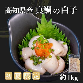 高知県産真鯛の白子 約1kg お買い物マラソン お中元 御中元 父の日 父の日ギフト ギフト 買いまわり お中元 真鯛 養殖 スーパーセール おつまみ 日本酒 取り寄せ 産地直送 送料無料 珍味 冷凍 しらこ まだ間に合う 訳あり