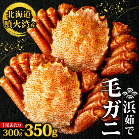 北海道産 毛ガニ 浜茹で 300g 350g カニ 毛蟹 ボイル ケガニ 蟹 冷凍 国産 北海道 噴火湾 まるごと 味噌 カニ味噌 茹で 取り寄せ 送料無料 ギフト プレゼント お祝い 年末 年始