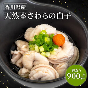 󂠂 TCYs Ⓚ{Tq  q 炱  ܂  󂠂  VR  hV̓ c  Ԃ Mtg a j v[g Ⓚ  Y