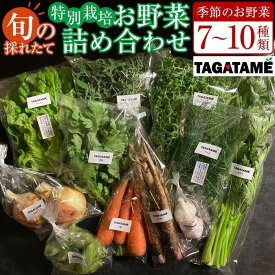 【旬を楽しむ】おまかせ野菜セットA 約 7品 ~ 10品 野菜 詰め合わせ セット 新鮮 今が旬 オーガニック ギフト 送料無料 国産野菜 健康 有機野菜 有機 有機栽培 旬の野菜 野菜セット 一人暮らし