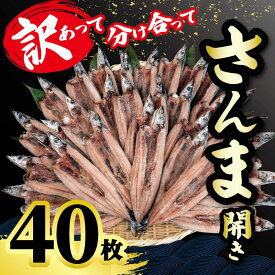訳あり さんま開き 40枚 国産 サンマ 秋刀魚 開き ワケアリ わけあり 訳あって 分け合って 開き 秋刀魚 訳あって さんま 開き 北海道 産 小分け 冷凍 干物 魚 海鮮 魚介 大容量 保存食 人気 グルメ お取り寄せ 贈り物 訳あり