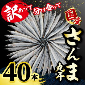 訳あり さんま丸干 40本 国産 秋刀魚 サンマ 秋刀魚 訳あって さんま丸干 40本 分け合って 訳あり さんま 丸干し 冷凍 さんま 無添加 国産 北海道産 さんま 国内加工 海の幸 海鮮 干物 冷凍 新鮮 贈り物 人気 お取り寄せ おすそ分け グルメ おつまみ