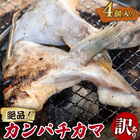 絶品！カンパチのカマ4個入り 国産 高知県 須崎 カンパチ 勘八 カマ お取り寄せ 鮮魚 魚 海鮮 おかず おつまみ 晩酌 産地直送 訳あり 希少部位 小島水産 冷凍 送料無料