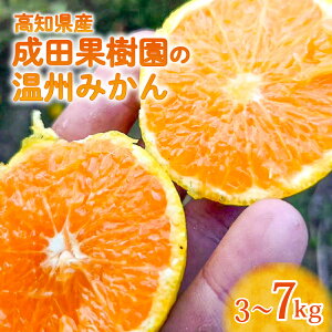 mY cʎ̉B݂ Iׂ e 3kg 5kg 7kgB݂ ݂ ʕ  Yn  k 񂫂 m Hו t[c ʎ Y ƒp p n  