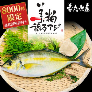  _AW 250g / 500g V}AW Y  AW Hi Ⓚ hg Ă ϕt X`   Mtg 蕨 tB[  m {s j Ε N Nn  Ȉ