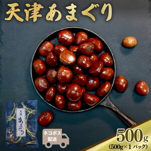 �V�ÊÌI �^��p�b�N 200g / 500g �y�l�R�|�X�z���z �ÌI �Â��� �I ���� 2025�N�Y �I�ׂ�e�� ���n �k�t�� ���َq ���܂� �ØI�� �}���� �����u���� �I���� ����� ���s ���� ���s�{ �����s ��