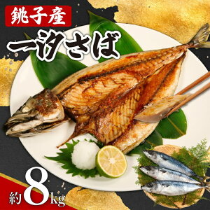 ���q�Y �ꎬ���� 8kg ���q�` ���Y ���� �I ������ ���I �K�� �K������ ���΃t�B�[�� �l�C �؂�g �ؐg ���Y�� �Y�����s�g�p ���Ă� �Ă����� ���X�� �����p ������ �O���� ��e�� �������� 