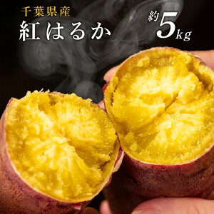 ���܂��� �g�͂邩 �� 5kg �������� �n�� ���܈� �� �F���� �T�c�}�C�� �l�ߍ��킹 ��e�� ���Y ��t���Y �ׂɂ͂邩 �y�t�� ���� �X�C�[�c ���َq ����� 5�L��