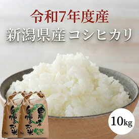 令和7年度産 新米 新潟県産 コシヒカリ 10kg ( 5kg × 2袋 ) 米 お米 こしひかり 10キロ 新潟 新米 令和7年 新潟県 つぐちゃん畑 送料無料 新潟産