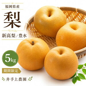 �y�{�̗���I�ׂ�z�������Y �� ��5kg �L�� �V�� �Ȃ� �i�V �a�� �ԗ� �ʕ� �t���[�c �Y�n���� �\���t�� �Â� �݂��݂����� �W���[�V�[ ��� ���� �M�t�g ������ �c�������� �h�V�̓� �ƒ�p