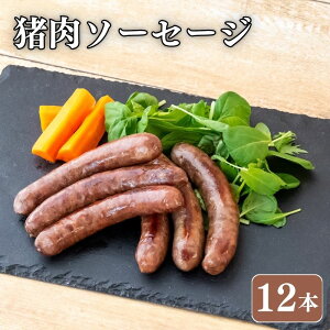 ���� �\�[�Z�[�W 4�{ 8�{ 12�{ �I�ׂ�e�� �������� �W�r�G �� �C�m�V�V ���̂��� ���� �� �ᎉ�b ���� �T���� �w���V�[ ���N ���N�ێ� �E�C���i�[ �E�B���i�[ �o�[�x�L���[ BBQ ���m �{��