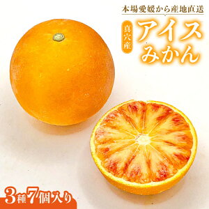 ^YACX݂ Q Y ^ ݂ 3 7  Zbg V[xbg ACX Õ ubh IW ^bR B݂ {쑁 Y t[c  ʕ fU[g XC[c 