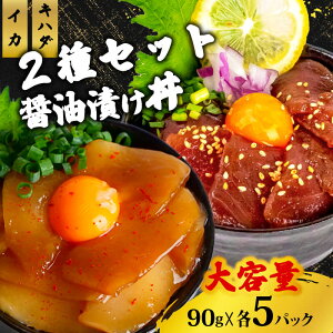 Iׂ 2  ݖ Ђ Zbg ( CJ / JWL / Ln_ ) Ⓚ ЂZbg Zbg  CN }O  G JWL}O Mtg v[g hV̓ CNÂ CN 