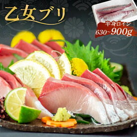 【送料無料】 乙女鰤（おとめブリ）半身分 お刺身用 柵 680g〜900g ブリ 高知県産 冷蔵 新鮮 高級 ごちそう しゃぶしゃぶ 漬け丼 小島水産 鮮度抜群 お買い物マラソン 父の日 プレゼント お中元 産地直送 お取り寄せ